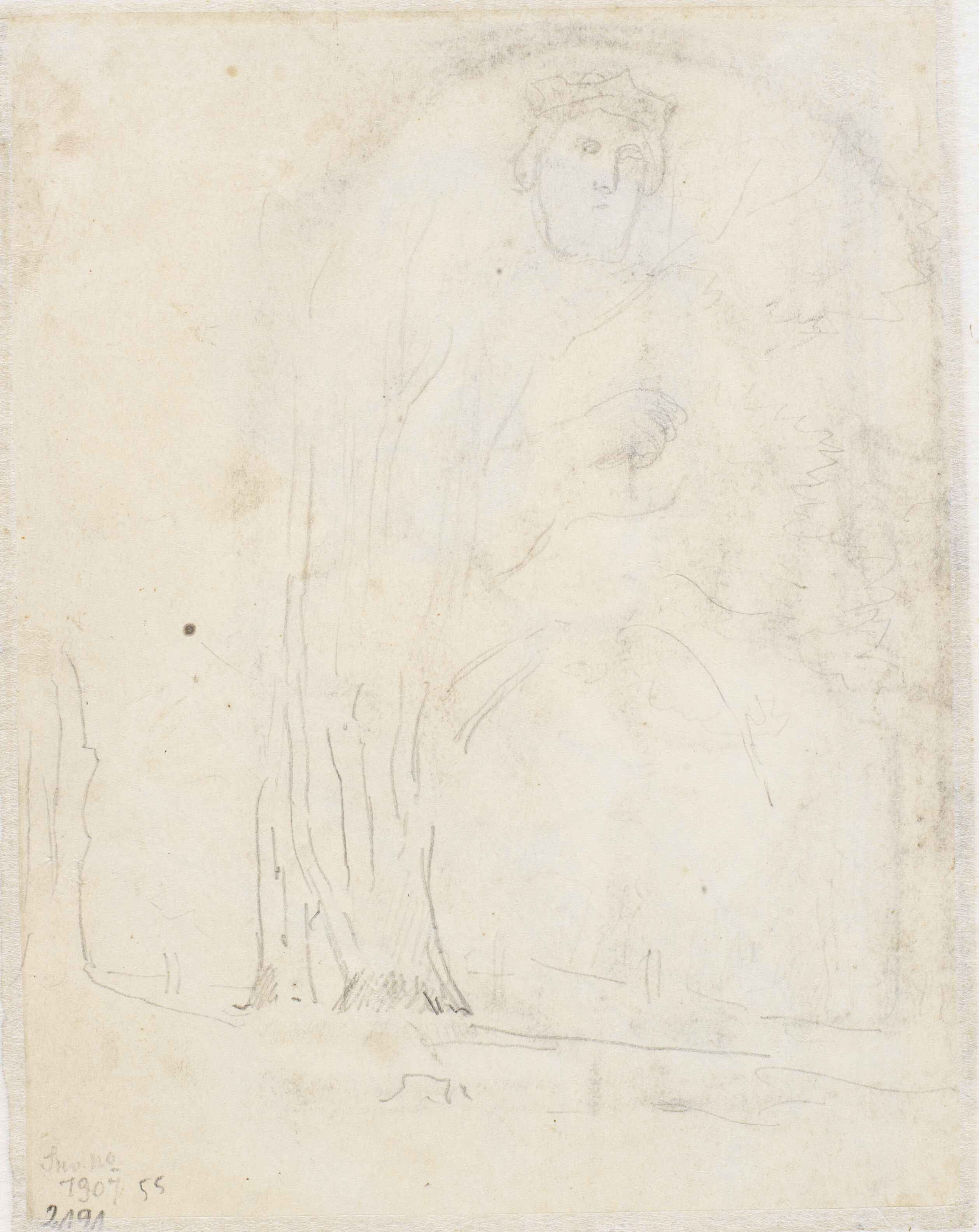 Studie af træer. Kong David